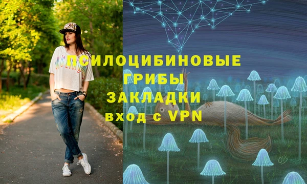 ГАЛЛЮЦИНОГЕННЫЕ ГРИБЫ Аркадак