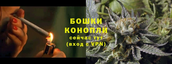 ГАЛЛЮЦИНОГЕННЫЕ ГРИБЫ Аркадак