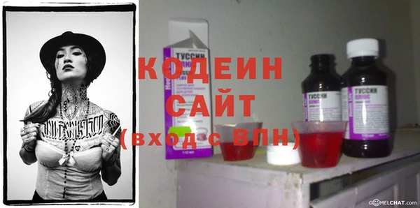 ГАЛЛЮЦИНОГЕННЫЕ ГРИБЫ Аркадак