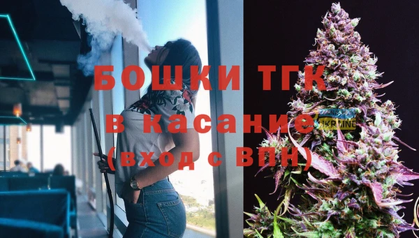 ГАЛЛЮЦИНОГЕННЫЕ ГРИБЫ Аркадак