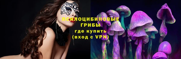 ГАЛЛЮЦИНОГЕННЫЕ ГРИБЫ Аркадак