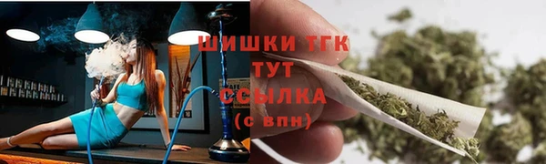гашик Арсеньев
