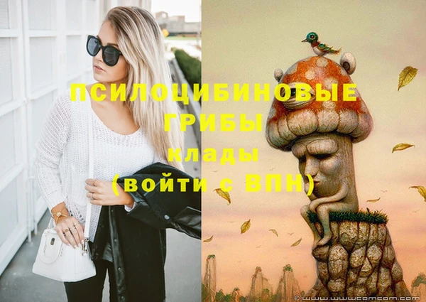 ГАЛЛЮЦИНОГЕННЫЕ ГРИБЫ Аркадак