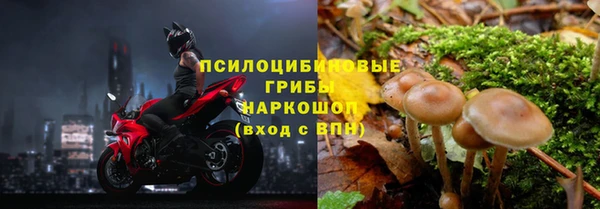 a pvp Армянск