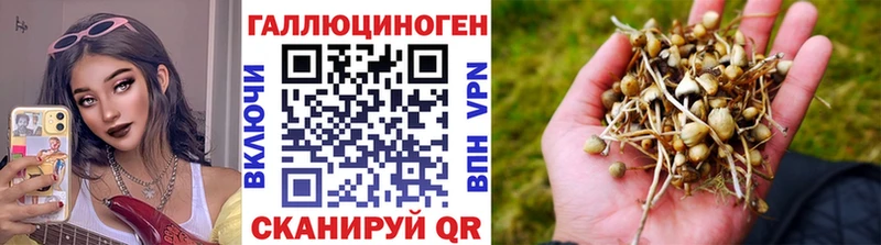 Галлюциногенные грибы прущие грибы  Безенчук 